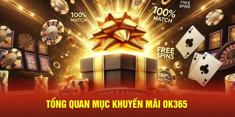 Tổng quan mục khuyến mãi OK365