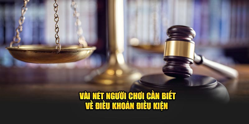 Vài nét người chơi cần biết về điều khoản điều kiện 