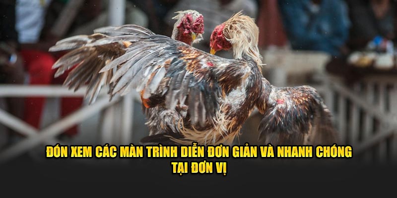 Đón xem các màn trình diễn đơn giản và nhanh chóng tại đơn vị